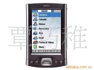 palmϵTX