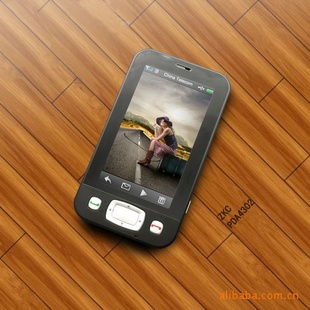 ǶʽοWINCE*ͨPDA4302У