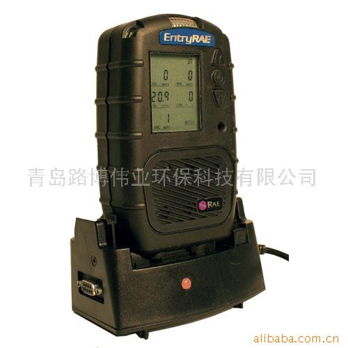 EntryRAEһPGM-3000