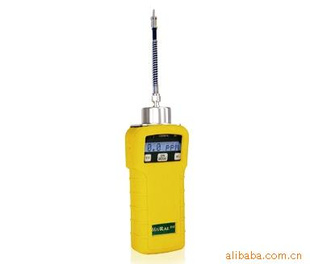 MiniRAE2000VOCPGM-7600