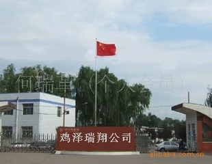 Ĳ˫20֣лл
