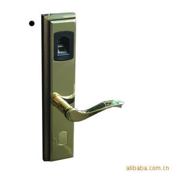 EFLXL800ָ