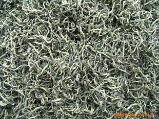 世博会十大名茶福鼎大白茶