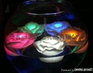 LEDˮ