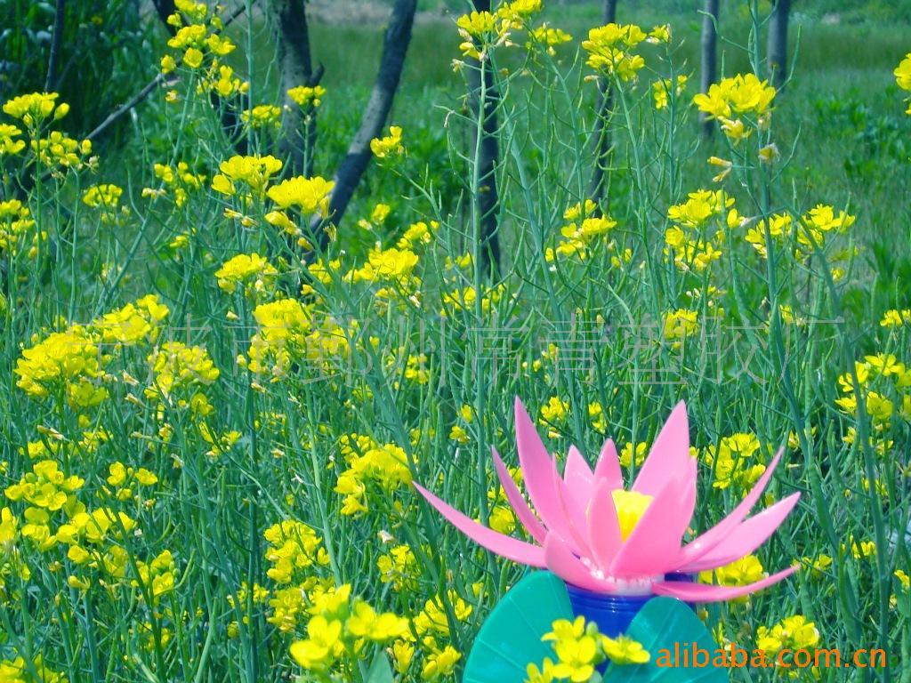 Ʒˮɻ̫ܻ