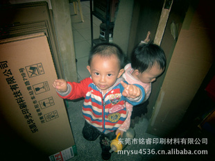 YP-IIPS650*55029Ԫ/ƽ