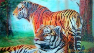 դϹդƬդƬդƬӹդƬĹդƬ
