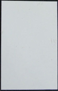 תӡװ0.45mm