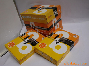 ÿ10Ԫ80A4ӡֽ