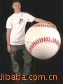 ʮװBaseball