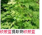 ҽʹݲ