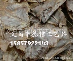 2012½ƷëҶ¼