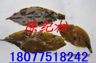 ë/Ĵë/ë/ë۷