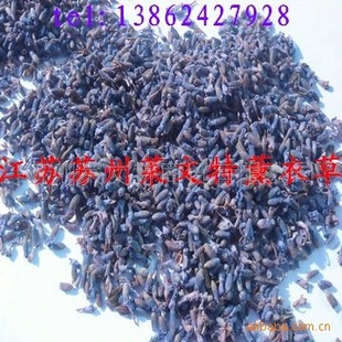 2011귨½޹²ݻ޹²ݸɻ