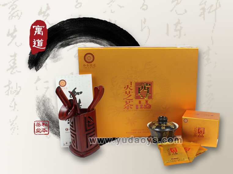 衢衢衢Ʒ衢֥--Ʒ֥