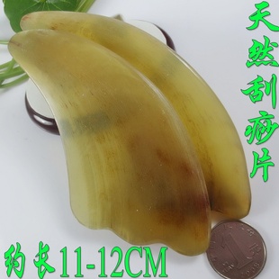 кǹƬ10-12CMǲƷƬYJ700340