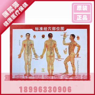 ׼ѨλͼʩȡѨοͼѨλͼͼ(˫棩