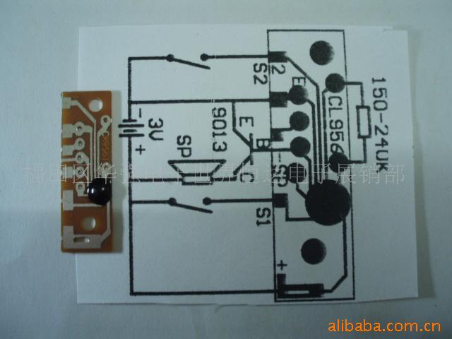 CK9561*IC.COB