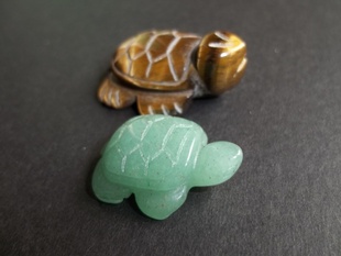 ۣʯڹ