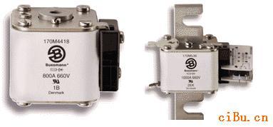 BUSSMANN170M1309۶