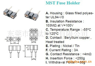 MSTFUSEHOLDER˿MSTñ˿