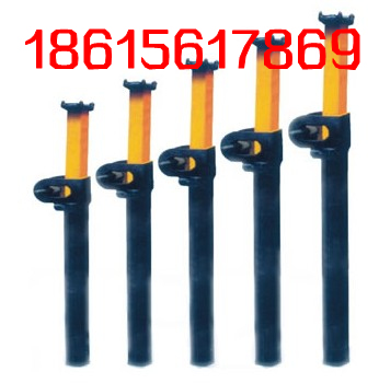 ֱҺѹ֧ȫĹ