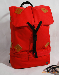 PORTER2010˶