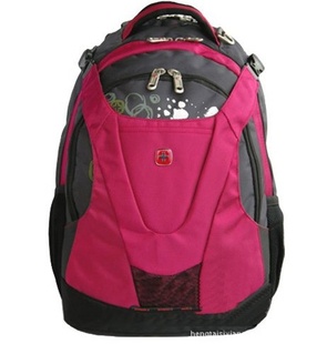 Swissgear˫米Աֱ
