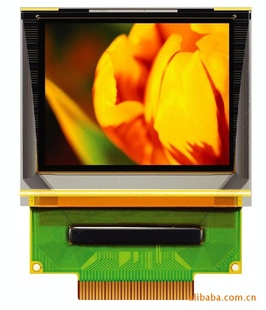 6028OLED