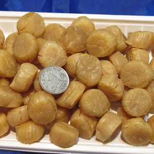 زиɺƷϺı