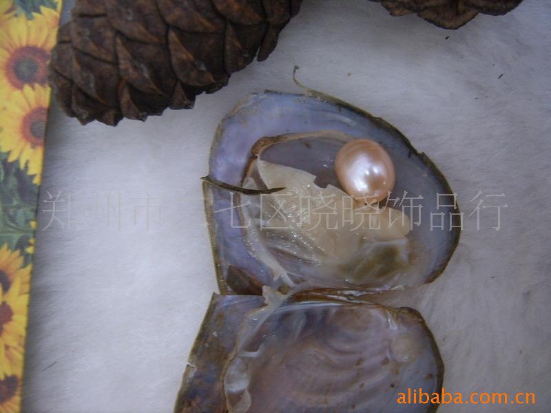 ƷʻС