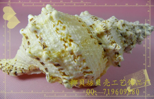 ֱݱǽݴڷ