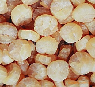 ֱ310g۶屴