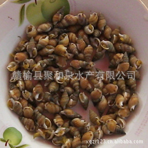 ؾۺȪˮ޹˾JuhequanAquaticProductsCo.,Ltd