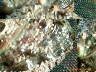 ձֳ