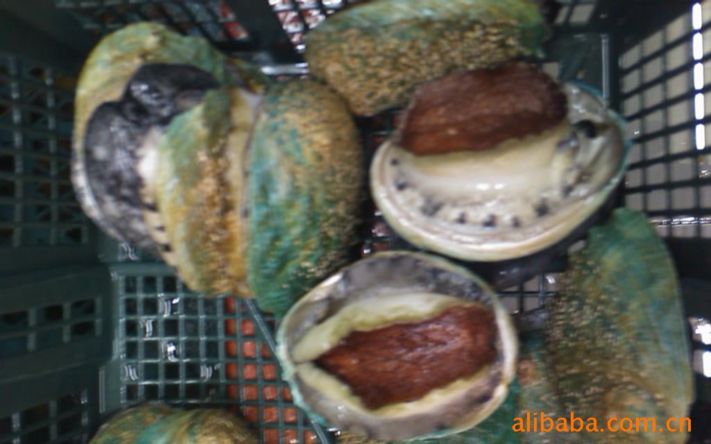 ʻ䱫
