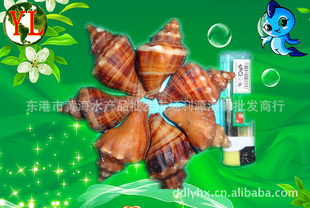 ʺƷԴг