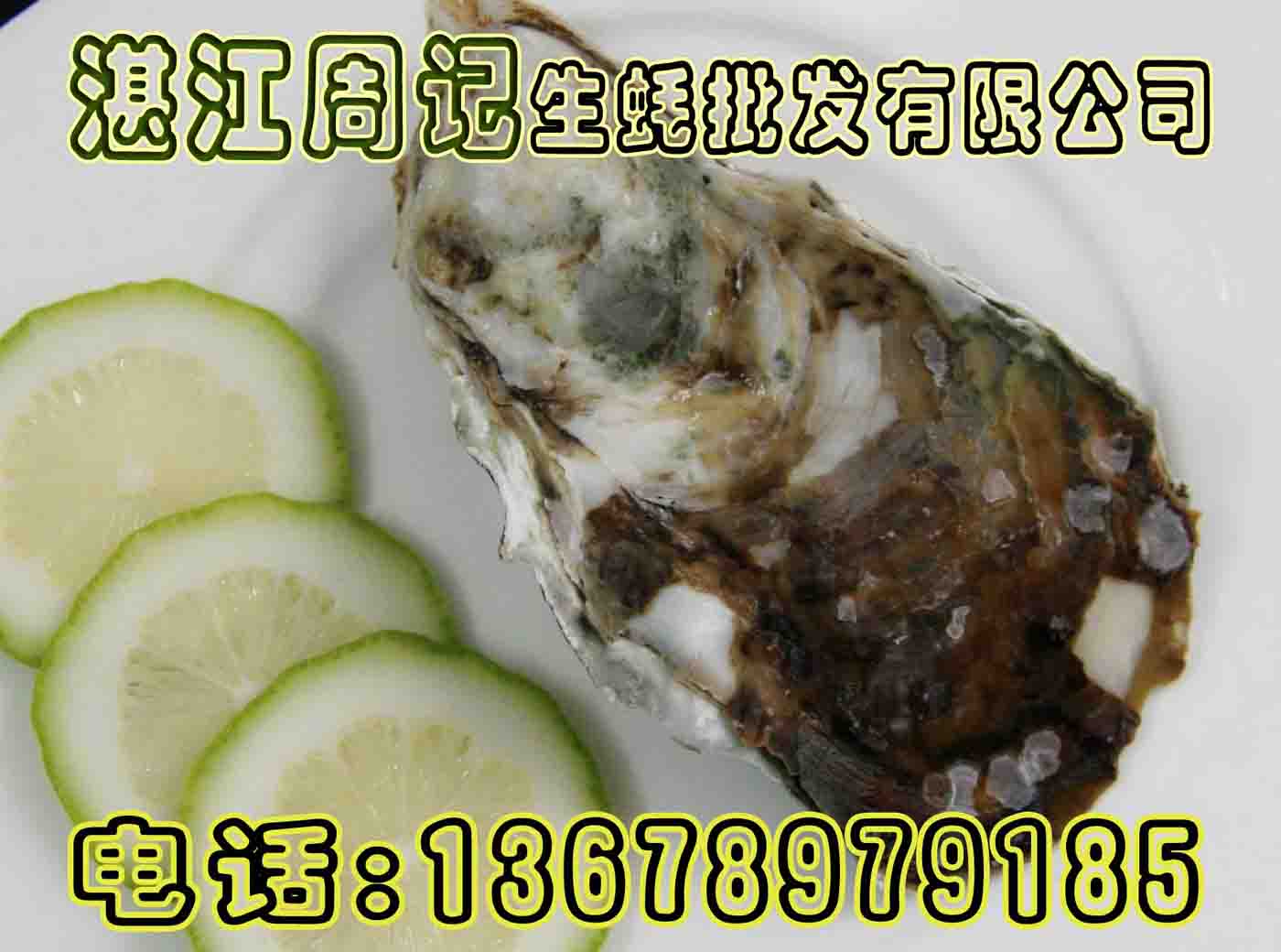 生蚝批发,湛江生蚝批发,岛生蚝批发,净化生蚝批发
