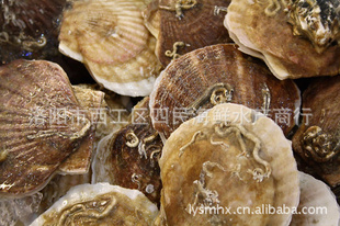 лԪֻ