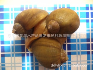-䶳ˮ-ˮ䶳ӹʣ
