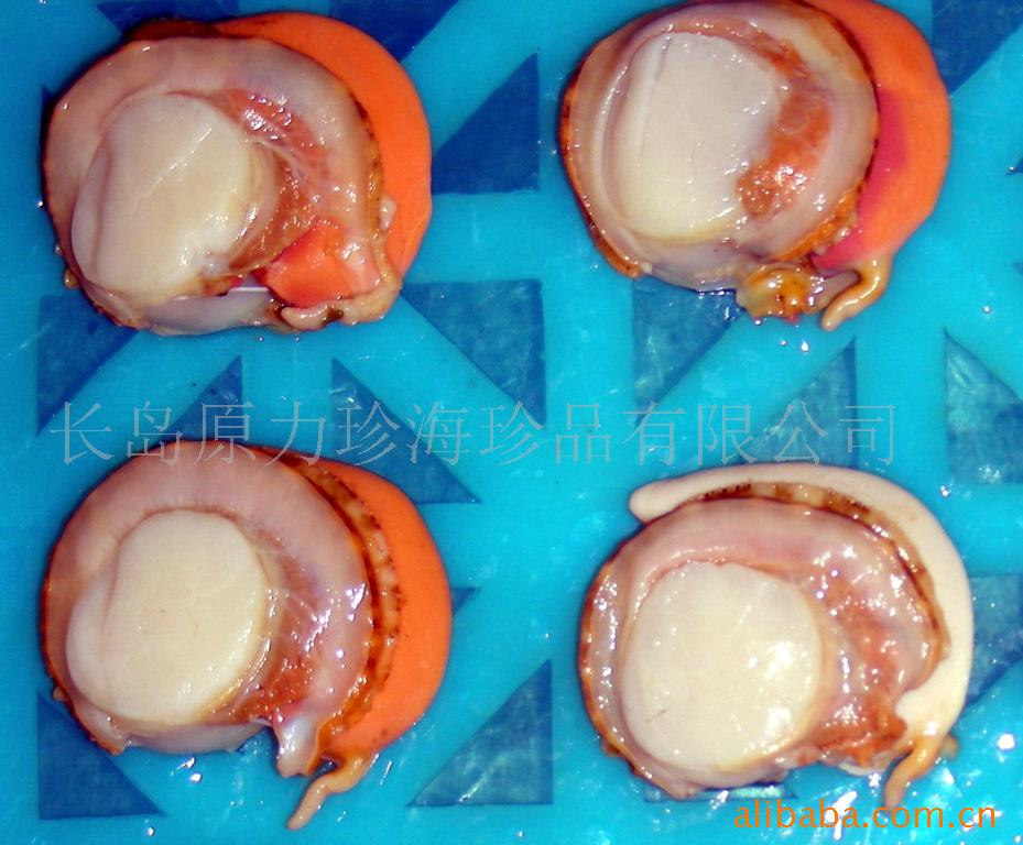 󶳺ȱ屴scallops(ͼ)