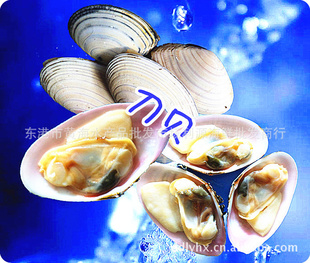 Ʒ-ԴиֲƷ