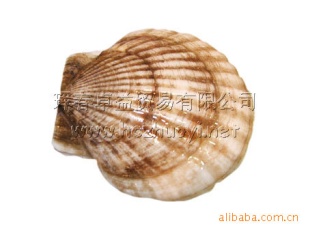 ںȱ7~9cm