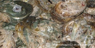 ʻĵ