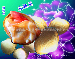 ʳ-Դг۱