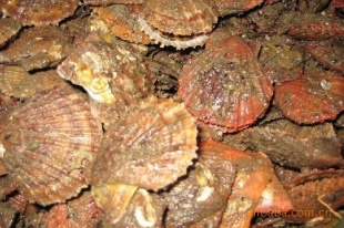 ʻȱ