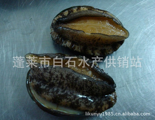 ṩʻ