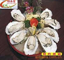 .ǿƼ۵ͻŦ򺣬ʻ