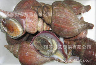 ݳʺݻԴȶ޽˻˼۵