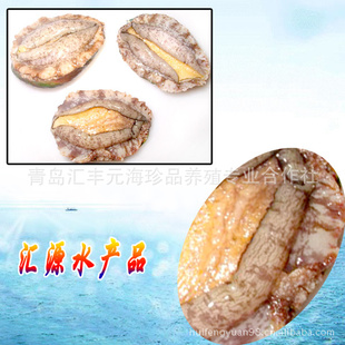 ζӪ-ʼ